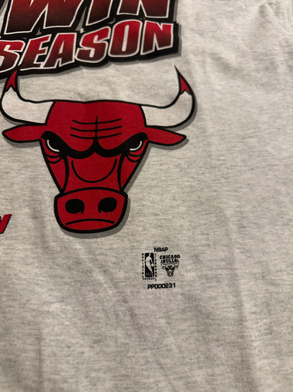 Vintage 1996 Chicago Bulls 70 Wins T shirt Sz 2XL(New)